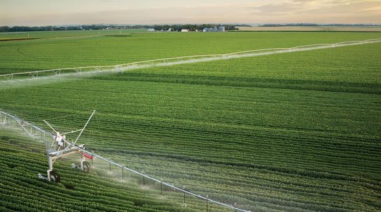 Smart Irrigation