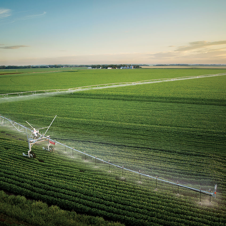 Smart Irrigation